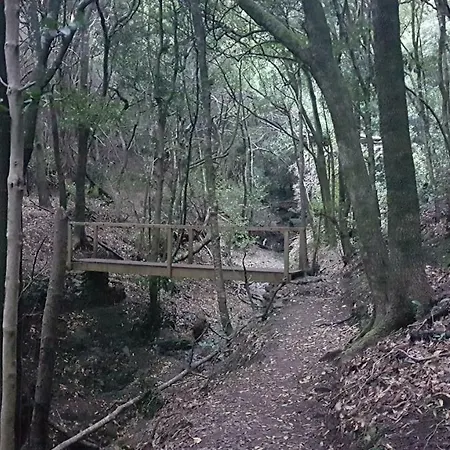 La Casita De Omar En El Corazon De Anaga Y La Laguna Lejlighed *