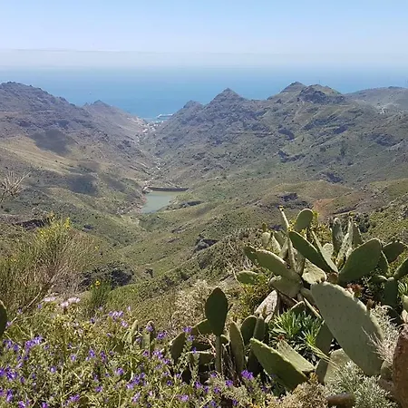 La Casita De Omar En El Corazon De Anaga Y La Laguna *